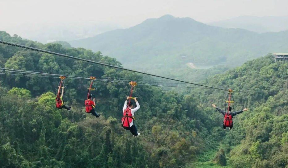 適合森林公園的游樂項目叢林滑索——簡單好玩，成本還低